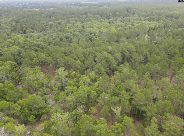 1409 Robinson Town Road 3, Cassatt, SC 29032