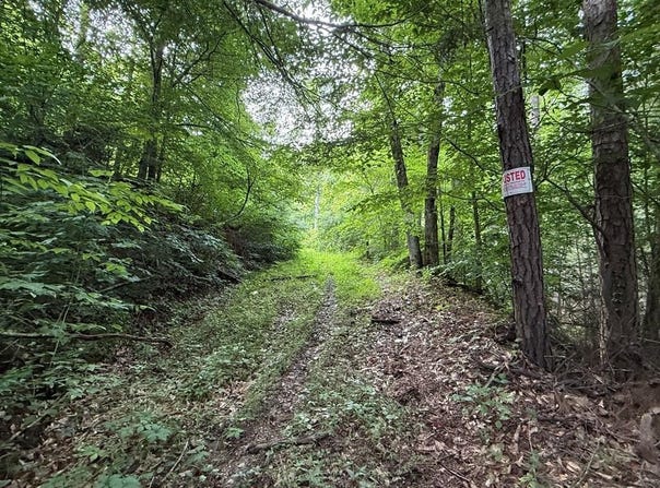4000 Left Fork Maces Creek Rd, Viper, KY 41774