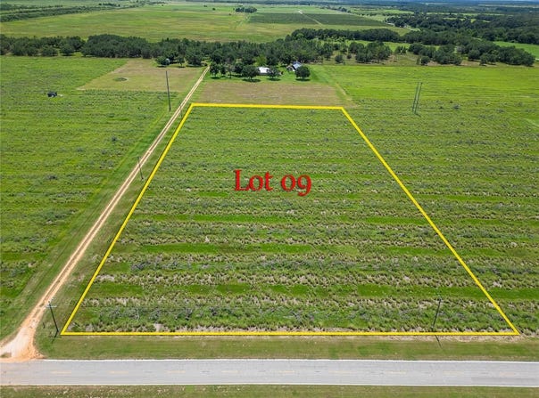 LOT 9, 0 OLD BOWLING GREEN RD, FORT MEADE, FL 33841