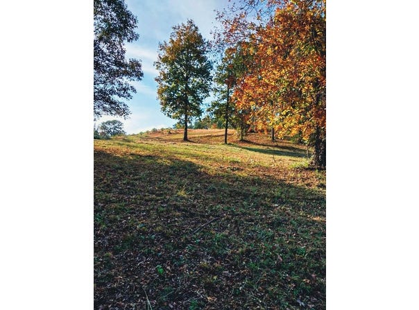 0 Whippoorwill Dr, Red Bay, AL 35582