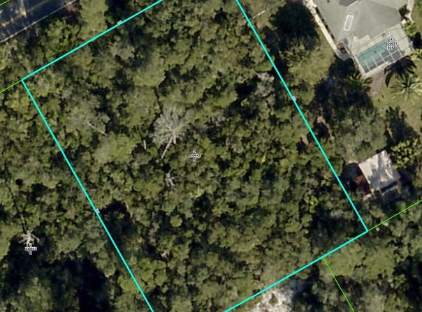 Noddy Tern Road, Weeki Wachee, FL 34613