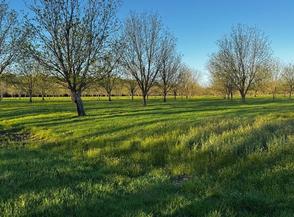 9404 E 460 RD, Claremore, OK 74017