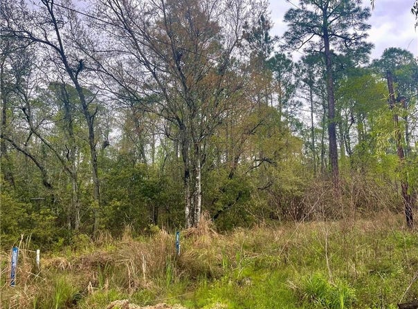0 Michigan Avenue, Coden, AL 36523