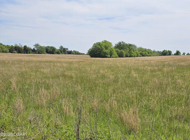 37 Acres Hwy DD & Crane Drive Highway, Seneca, MO 64865