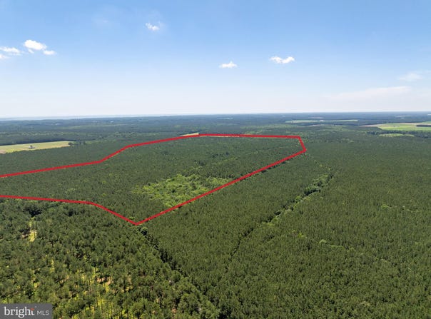 0 PATEY WOODS ROAD, NEWARK, MD 21841