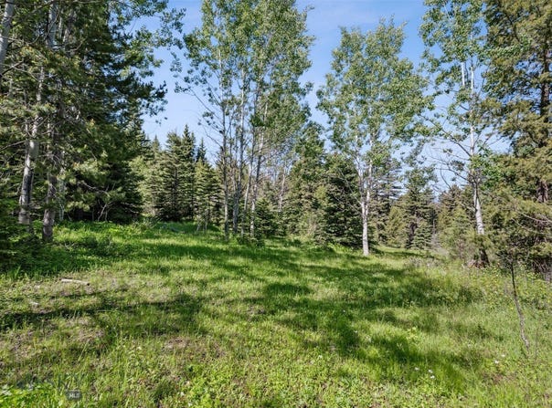 Smokey Mountain Drive, Anaconda, MT 59711