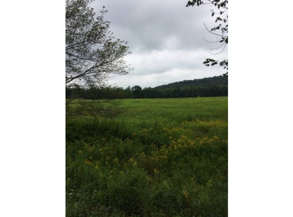 na hasbrouk drive, Woodbourne, NY 12788