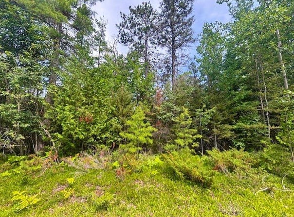 V/L Suanqua Drive lot: 117-119 & 141, Presque Isle, MI 49777