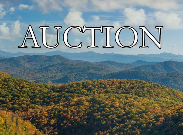 500 Bob Barnwell Road, Fletcher, NC 28732