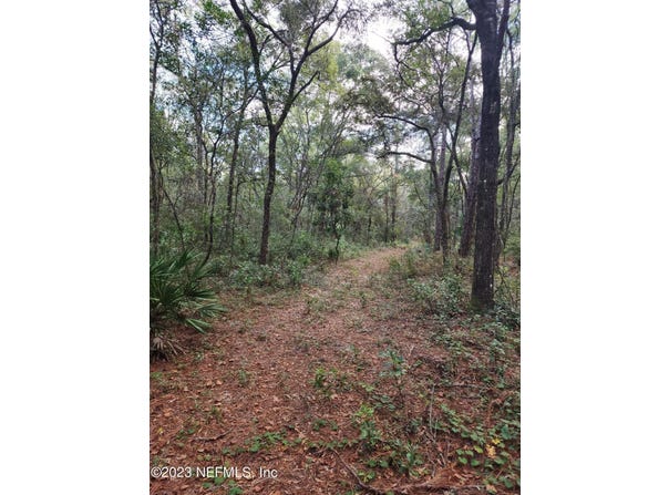 9897 NW 56TH Place, Chiefland, FL 32626