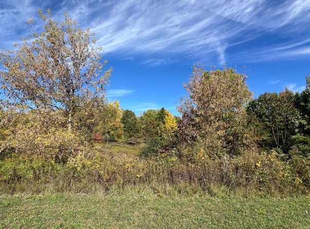 5577 Cannon Meadows Drive, Ada, MI 49301