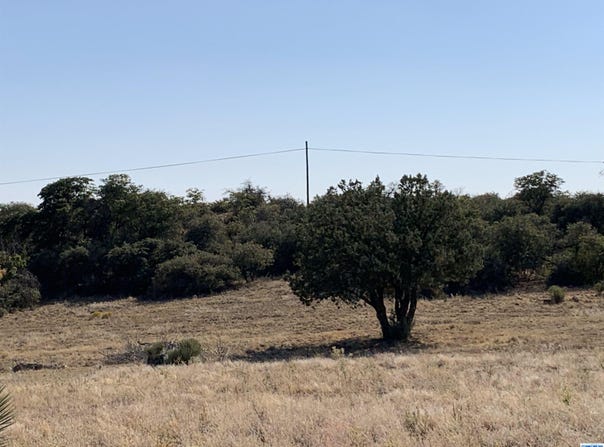 Silver City, NM 88061