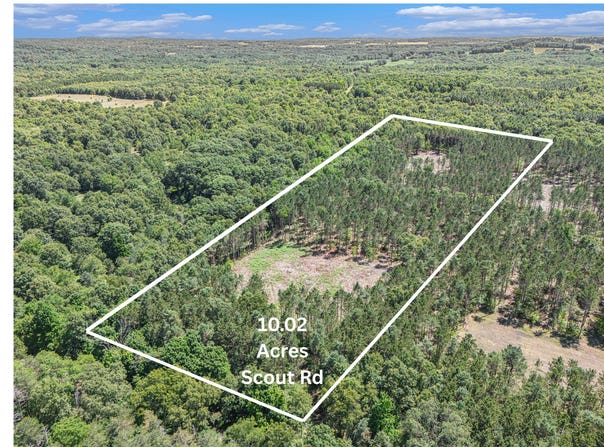 10.02 W Scout Road, Mears, MI 49436