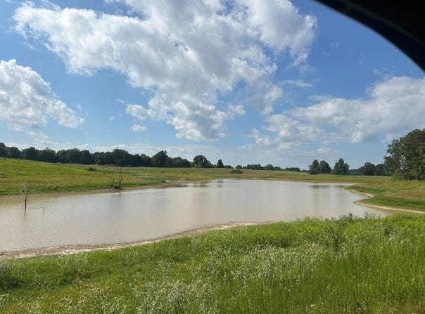 550 Clay County Road, Piggott, AR 72454
