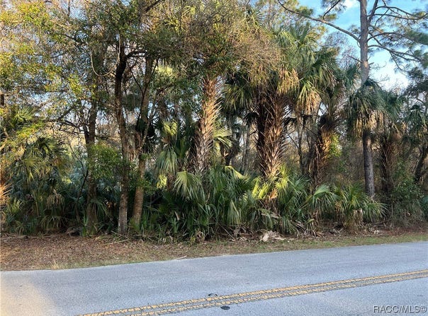 8523 N Basswood Avenue, Crystal River, FL 34428