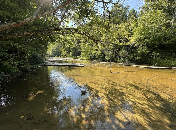 3700 West Fork Road, Burkesville, KY 42717