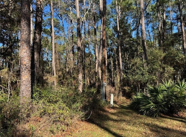 1106 Narbonne Place, Dauphin Island, AL 36528