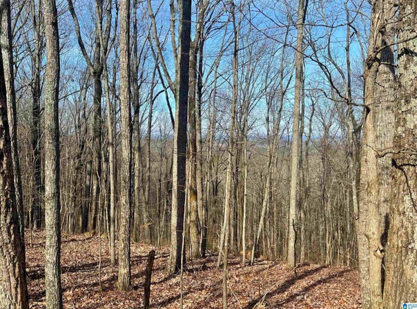 COUNTY ROAD 852 lot: 1, HEFLIN, AL 36264