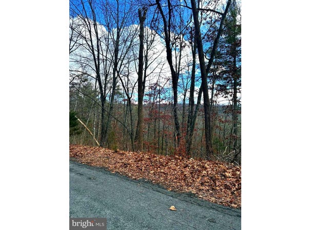 SPITZ Lane, BASYE, VA 22810