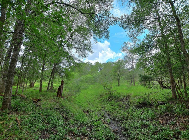 Tbd E Whitworth LN E, Bastrop, TX 78602