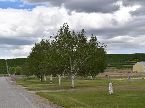 709 Old Hwy 97, Brewster, WA 98812