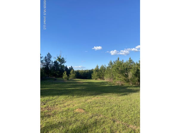 County Road 48, Gloster, MS 39638