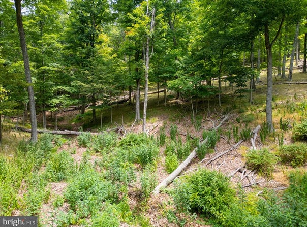 Lot 55 & 56 SARAH LINCOLN DR., NEW CREEK, WV 26743