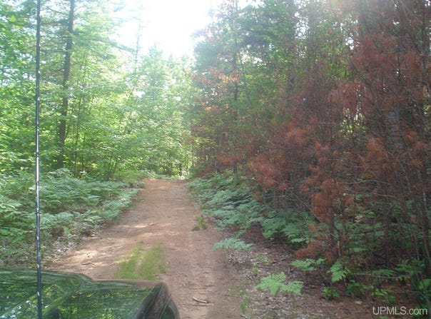 9040 Bone Lake, Newberry, MI 49868