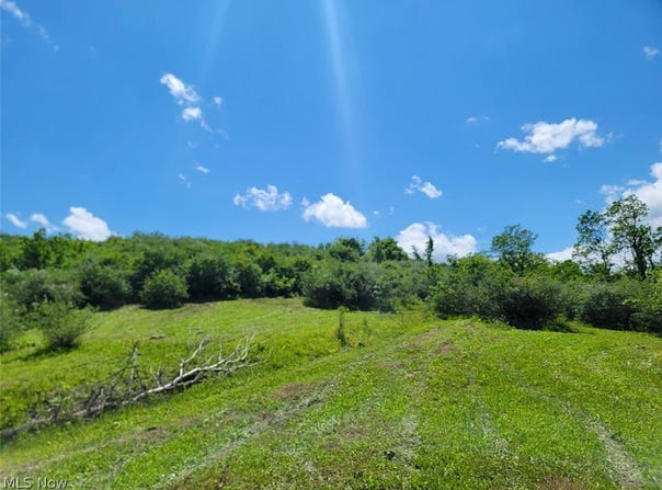 V/L Shephard, Bethesda, OH 43719