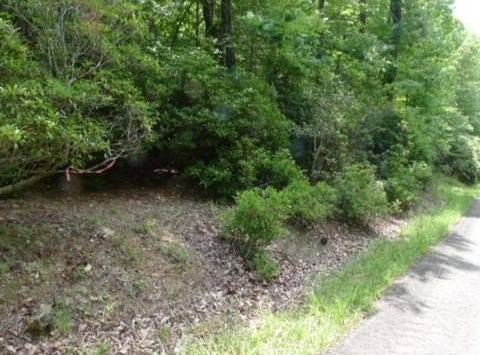 Mountain View Drive lot: 17, Lowgap, NC 27024