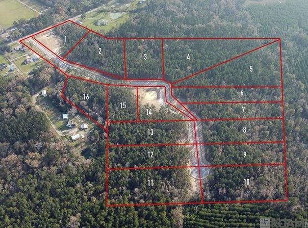 18187 SETTLEMENT TRACE lot: 2, Livingston, LA 70754