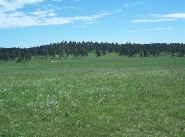 TBD War Bonnet Road, Custer, SD 57730