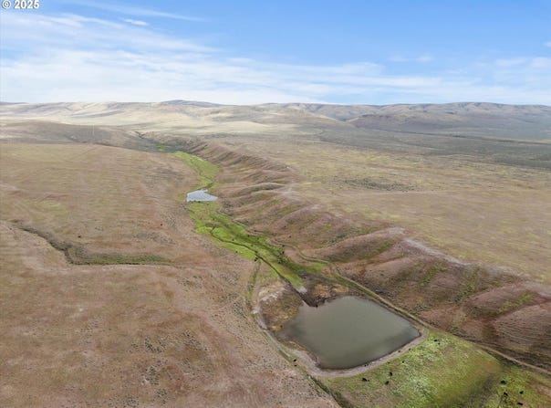 Second Creek Lane, Baker City, OR 97814