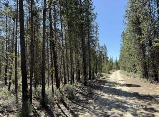 Off NF 9768, Crescent, OR 97730