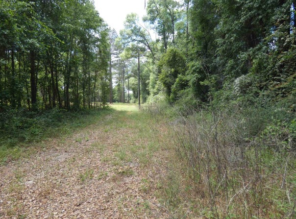 W Washington, Monticello, FL 32344