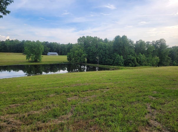 0 County Rd 317, Woodville, AL 35776