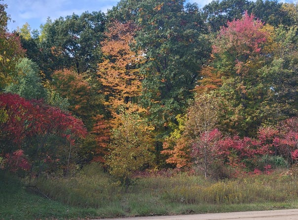 74021 Ridgeway Drive, Lawton, MI 49065