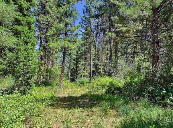 30 & Tbd Syringa, Garden Valley, ID 83622