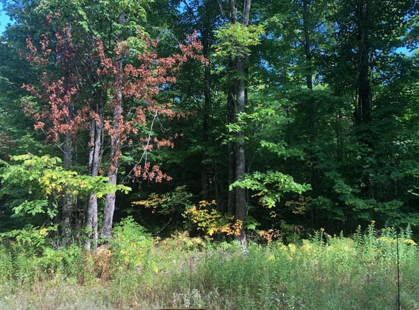 Off JACK SPUR RD, Ontonagon, MI 49953