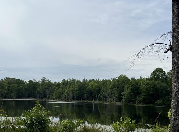 00 Bear Creek (Lot 3) Road, Pinson, TN 38366