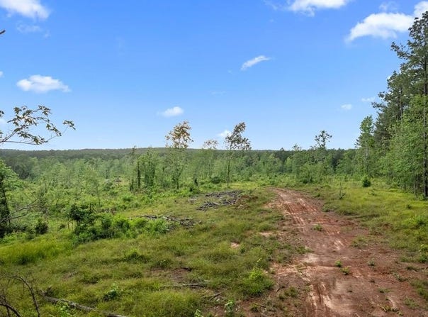544 County Road 411, San Augustine, TX 75972