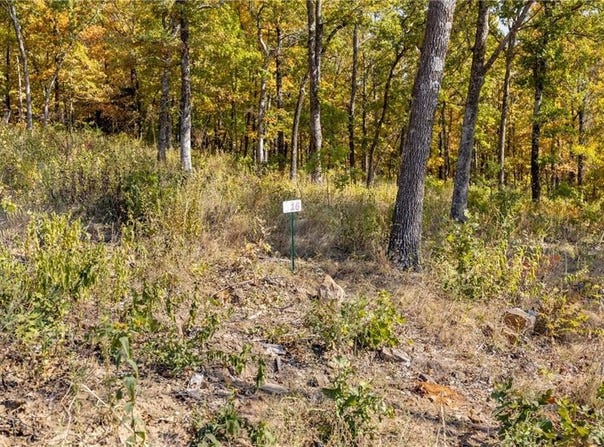 Lot 16 Peaceful  PL, Harrison, AR 72601