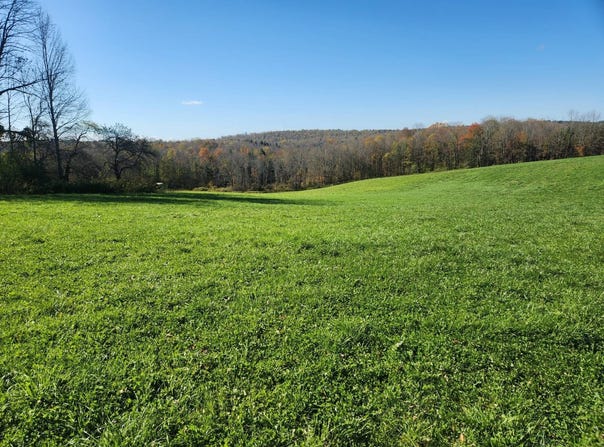 Hoffman, Guilford, NY 13780
