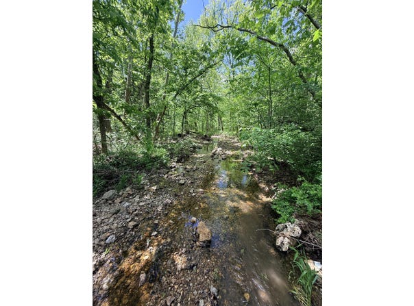 Saturday Rd, Stover, MO 65078