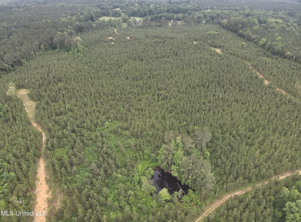 Old Pickens Rd, Kosciusko, MS 39090