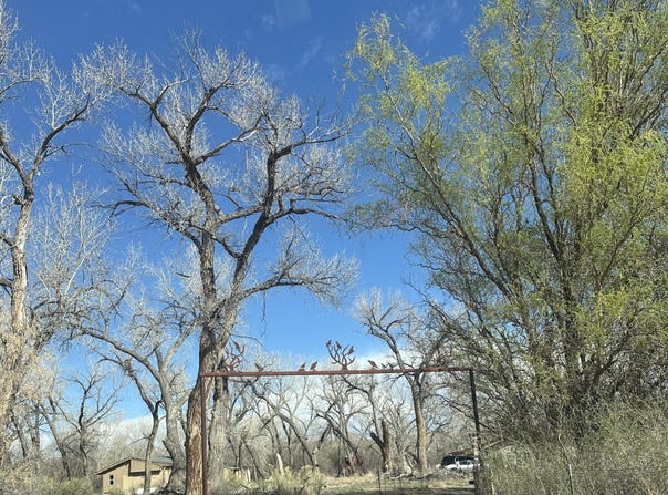 9 ROAD 2620, Aztec, NM 87410
