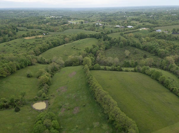 34.01acres Menefee Rd. Road, Crittenden, KY 41030
