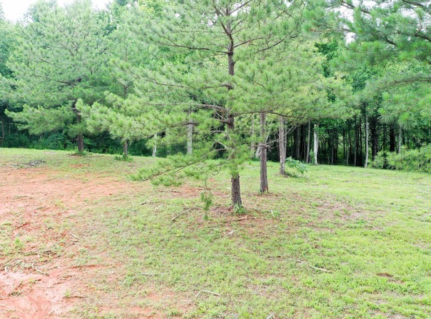 0 Lovers Lane, Tompkinsville, KY 42167