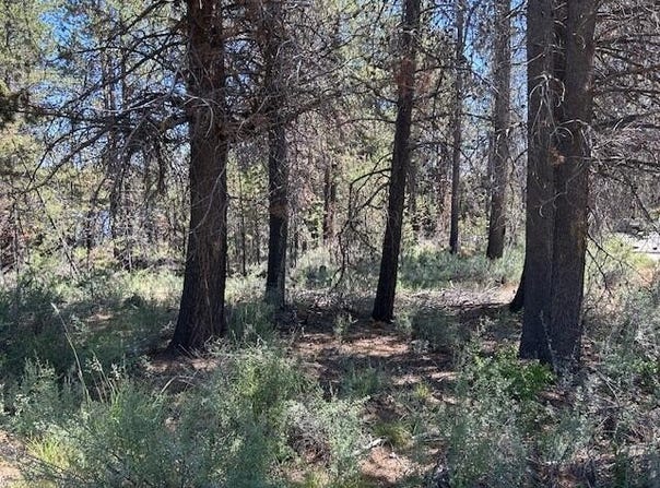 Hwy 97, Crescent, OR 97733