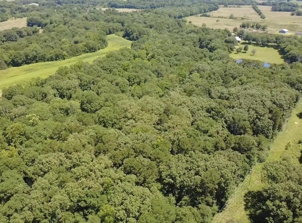 Polk Road 87, Mena, AR 71953